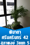 หอพัก, แมนชั่น, ที่พัก, ห้องพัก, อพาร์ทเม้นท์